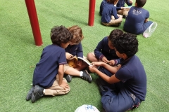 British school book buddies