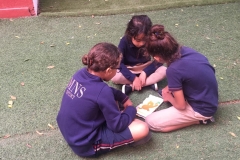 British school book buddies
