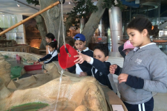 Child museum school trip