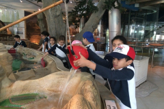 Child museum school trip