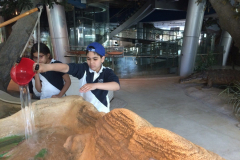 Child museum school trip