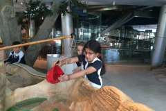 Child museum school trip