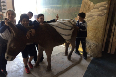 Child museum school trip
