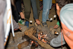 Fayoum trip - British School Trips