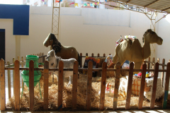 Moled El Nabi celebration