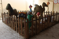 Moled El Nabi celebration