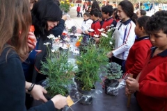 Mother day celebration
