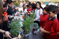 Mother day celebration