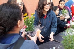 Mother day celebration