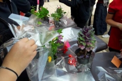 Mother day celebration