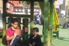 school book buddies