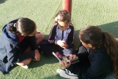 school book buddies