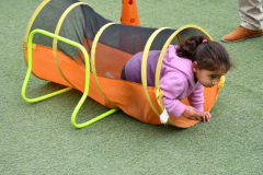 Family Sports Day - Sports day 2023
